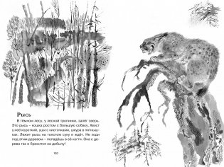 Друзья фото книги 2