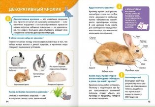Энциклопедия для маленьких почемучек. Домашние питомцы фото книги 5