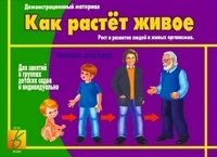 Игра "Как растет живое" фото книги