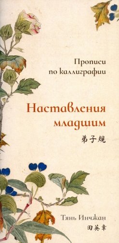 Наставления младшим. Прописи по каллиграфии фото книги
