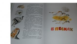 С севера на юг фото книги 6
