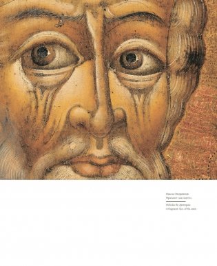 Книжная культура. Ветка фото книги 6