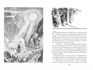 Шляпа Волшебника. Муми-тролли и все-все-все. Книга 1 фото книги 2