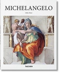 Michelangelo фото книги