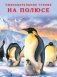 На полюсе фото книги маленькое 2