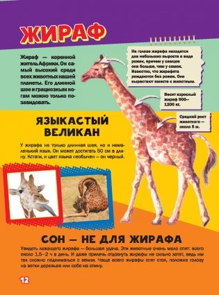 Моя первая большая книга о животных фото книги 6