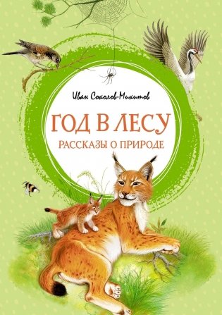 Год в лесу. Рассказы о природе фото книги