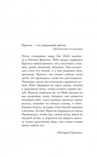 Прекрасные фото книги 6