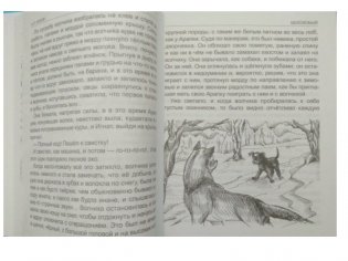 Белолобый. Рассказы для детей фото книги 4