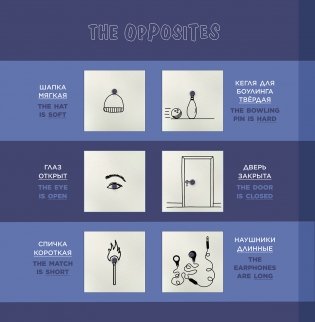 Что это? фото книги 9