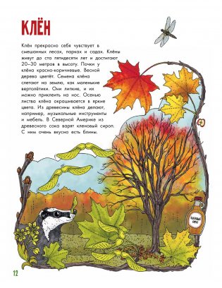 Деревья фото книги 2