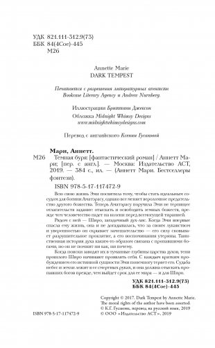 Темная буря фото книги 13