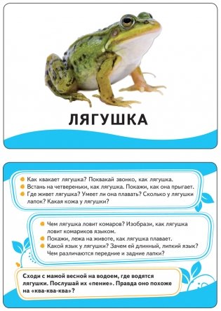 Развивающие карточки "Животные" фото книги 3