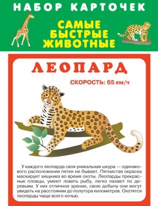Набор карточек. Самые быстрые животные фото книги