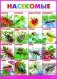 Насекомые. Плакат фото книги маленькое 2