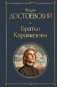 Братья Карамазовы фото книги маленькое 2