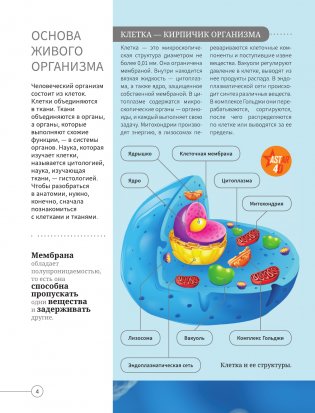 Всё о теле человека фото книги 4