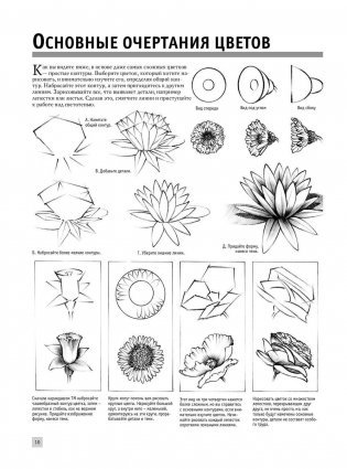 Полный курс рисования фото книги 11