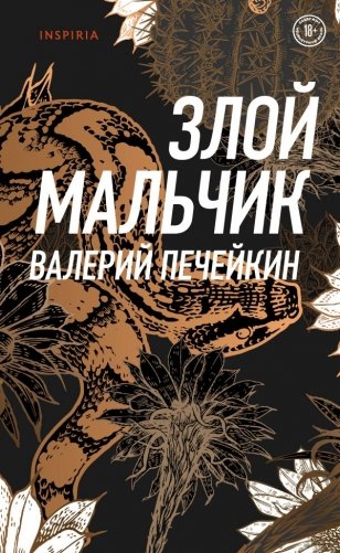 Злой мальчик фото книги