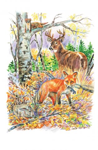 Кто живёт в лесу? фото книги 5