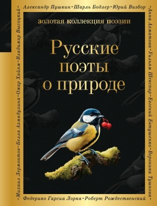 Русские поэты о природе фото книги