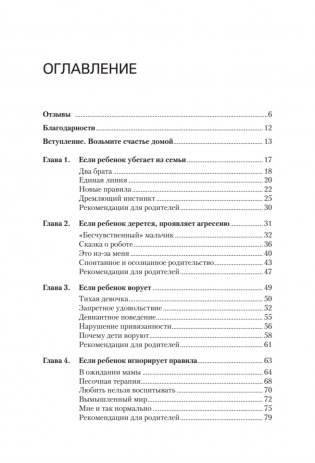 Не просто дети, не просто родители. Поддержка семьи в кризис фото книги 2