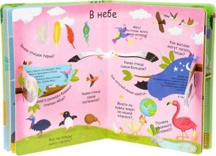 Волшебные окошки. Животные фото книги 2