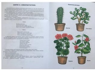 Занимаемся вместе. Средняя группа компенсирующей направленности для детей с ТНР. Часть 1. ФГОС фото книги 2
