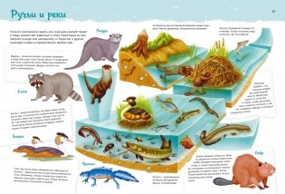 Животные. Мой первый атлас в картинках фото книги 5