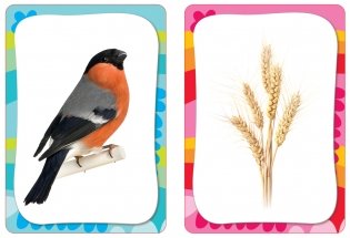 Развивающие карточки "Развиваем внимание и память", 36 карточек фото книги 2