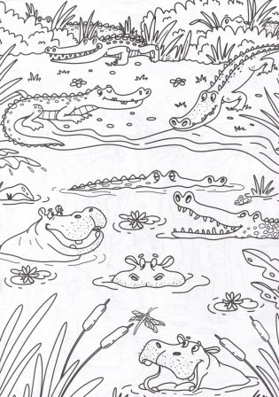 Раскраска с карандашами «Дикие животные» (комплект из 2-х предметов) фото книги 2