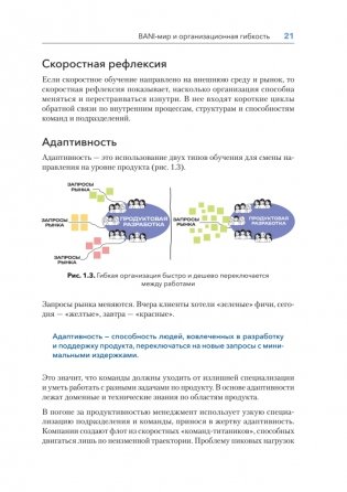 Дизайн Agile-организаций фото книги 13