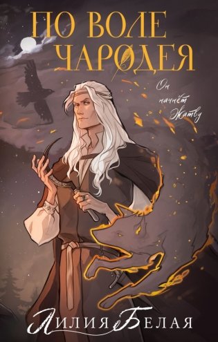 По воле чародея фото книги