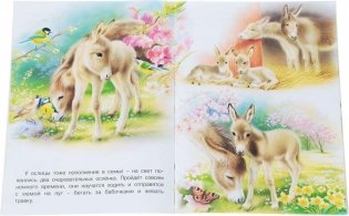 На ферме фото книги 2