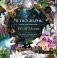 Mythographic Color and Discover: Wolf Moon фото книги маленькое 2