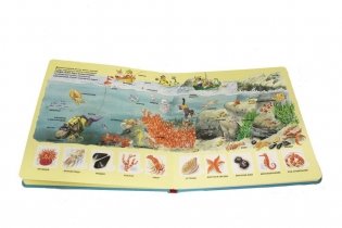 На море фото книги 3