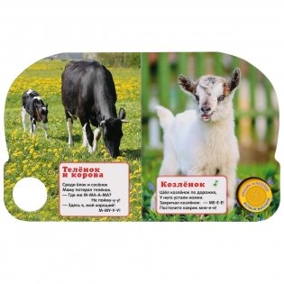 Кто как говорит фото книги 3