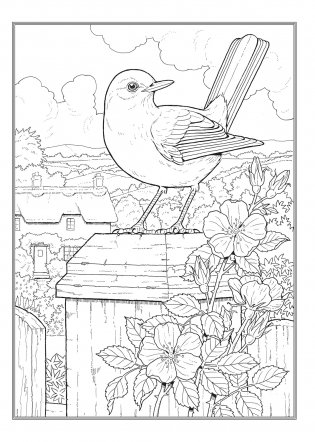 Creative Haven Glorious Songbirds Coloring Book фото книги 8