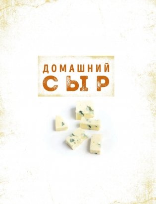 Домашний сыр фото книги 3