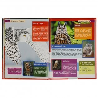 Хищники России. Энциклопедия с развивающими заданиями фото книги 5