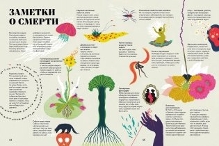 Чудесная книга смерти фото книги 5