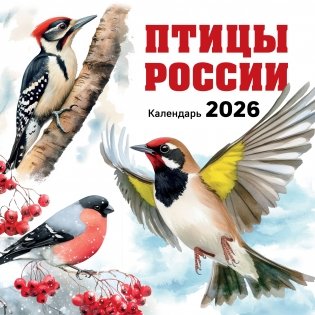 Птицы России. Календарь настенный на 2026 год (300х300 мм) фото книги