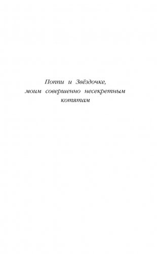 Котенок Кэтти, или Секрет в шкафу фото книги 6