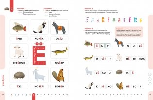 Буквы. Учимся уверенно узнавать буквы и слова. 5-6 лет фото книги 4