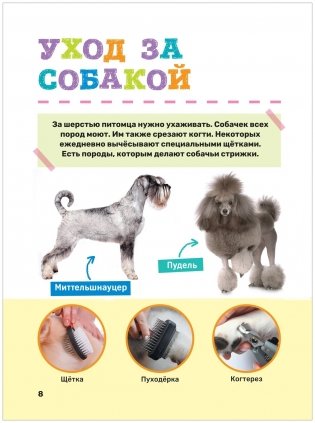 Домашние питомцы. Первая энциклопедия малыша фото книги 4