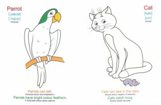 Раскраска. Я учусь! 100 слов на английском. Животные фото книги 2