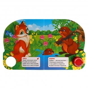 Лесные животные фото книги 2