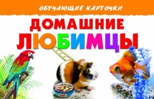 Обучающие карточки "Домашние любимцы" фото книги