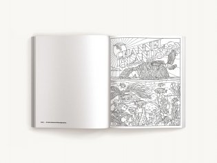 Color Me National Parks: An Adventurous Coloring Book фото книги 6