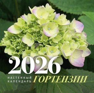 Гортензии. Настенный календарь на 2026 год фото книги